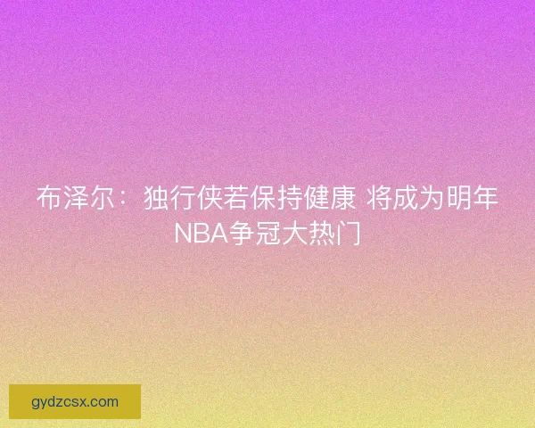 布泽尔：独行侠若保持健康 将成为明年NBA争冠大热门