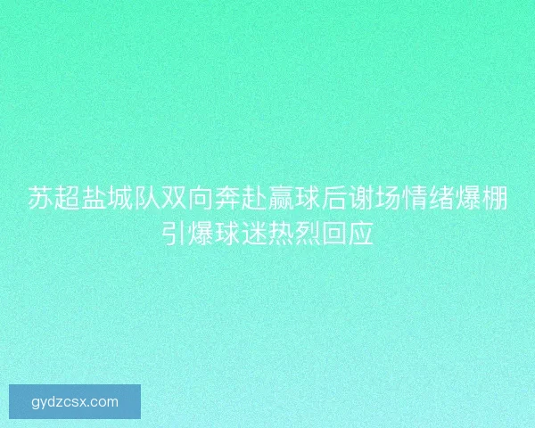 苏超盐城队双向奔赴赢球后谢场情绪爆棚引爆球迷热烈回应 苏超盐城队双向奔赴赢球后谢场情绪爆棚引爆球迷热烈回应