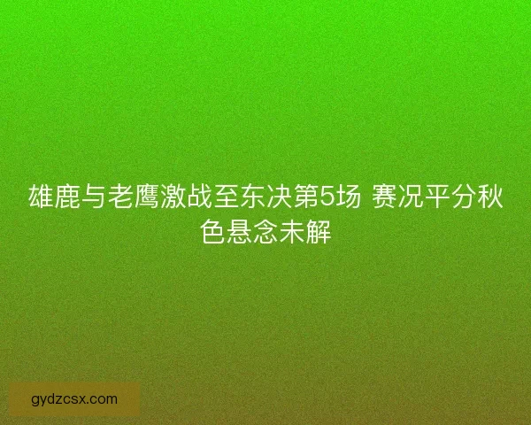 雄鹿与老鹰激战至东决第5场 赛况平分秋色悬念未解