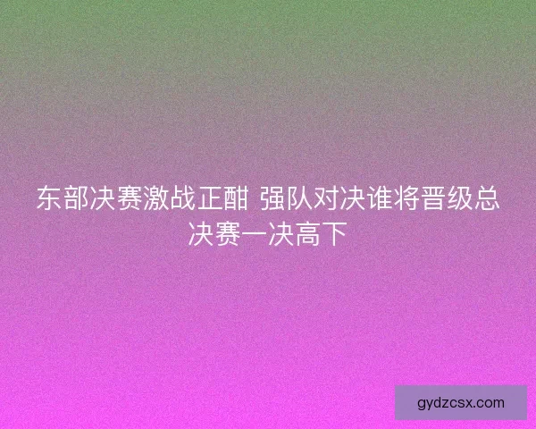 东部决赛激战正酣 强队对决谁将晋级总决赛一决高下 东部决赛激战正酣 强队对决谁将晋级总决赛一决高下