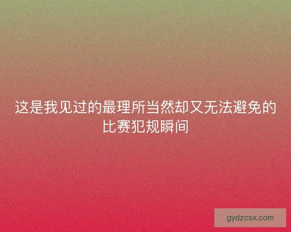 这是我见过的最理所当然却又无法避免的比赛犯规瞬间