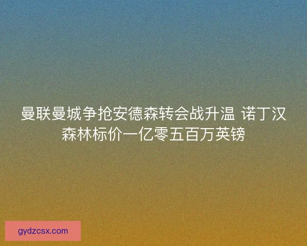曼联曼城争抢安德森转会战升温 诺丁汉森林标价一亿零五百万英镑