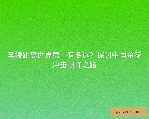 李娜距离世界第一有多远？探讨中国金花冲击顶峰之路