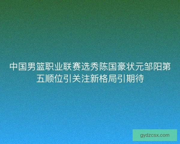 中国男篮职业联赛选秀陈国豪状元邹阳第五顺位引关注新格局引期待